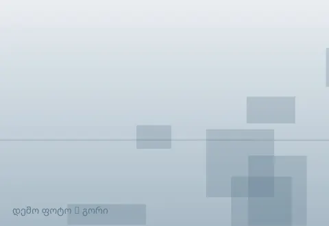 სურათი 1
