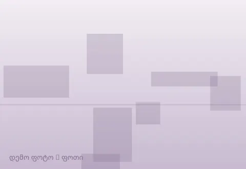 სურათი 1