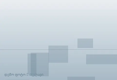 სურათი 1