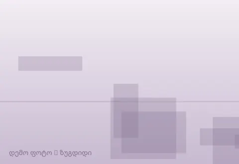 სურათი 1