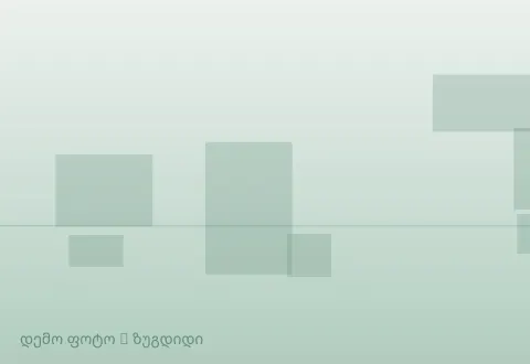 სურათი 1
