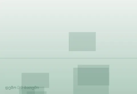 სურათი 3