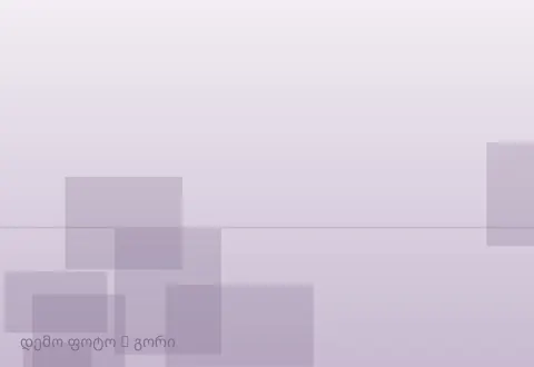 სურათი 1