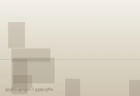 სურათი 1