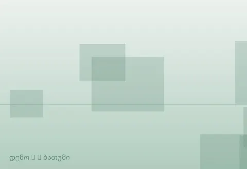 სურათი 4