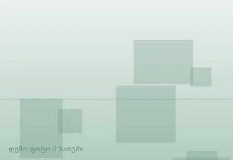 სურათი 1