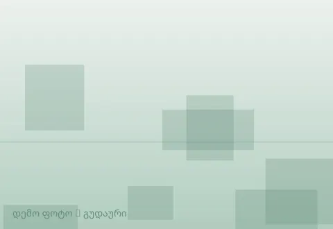 სურათი 1
