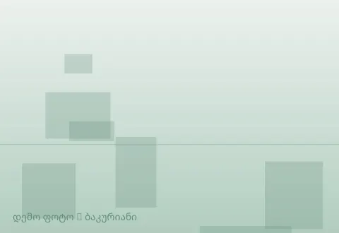 სურათი 1