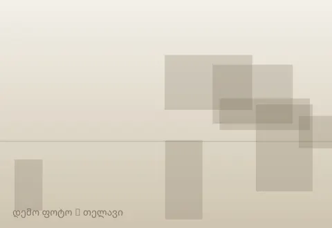 სურათი 1
