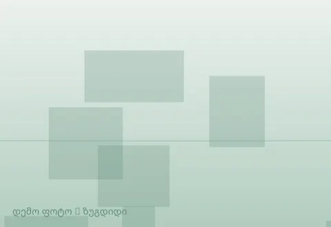 სურათი 1