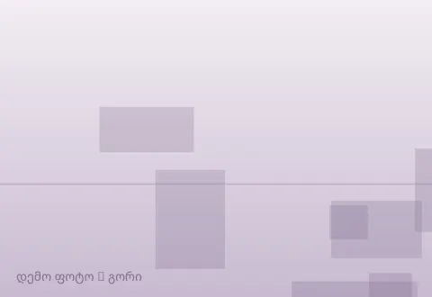 სურათი 1