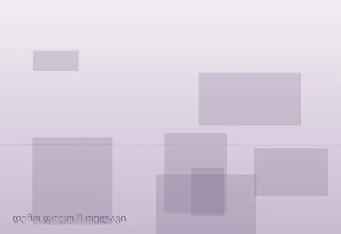 სურათი 1