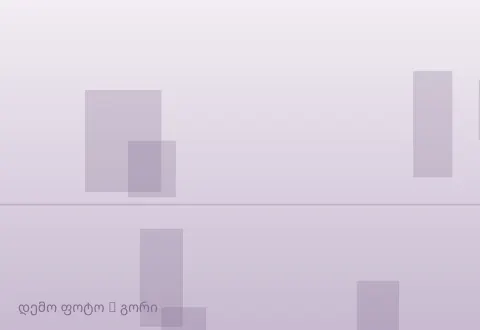 სურათი 1
