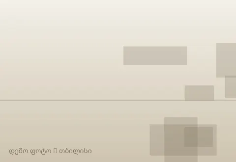 სურათი 1