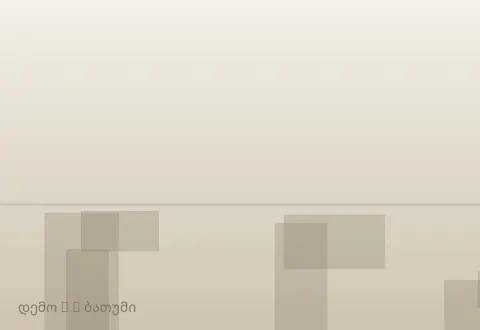 სურათი 2