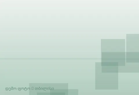 სურათი 1