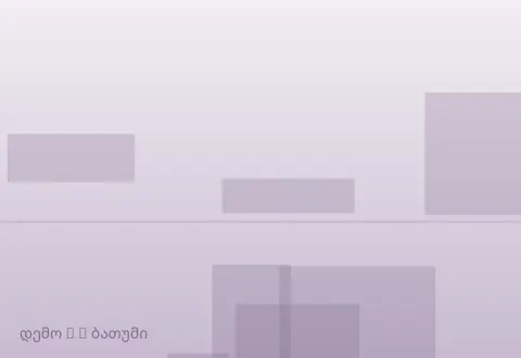 სურათი 2
