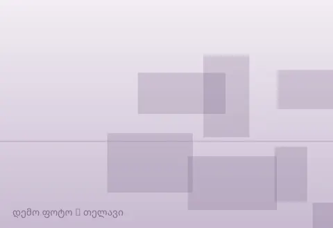სურათი 1