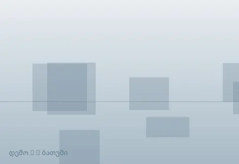 სურათი 2