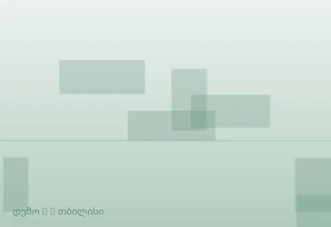 სურათი 2