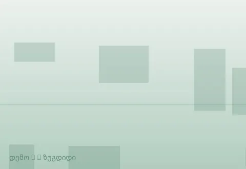 სურათი 2