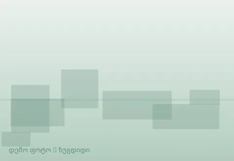 სურათი 1