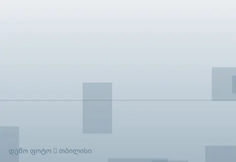 სურათი 1