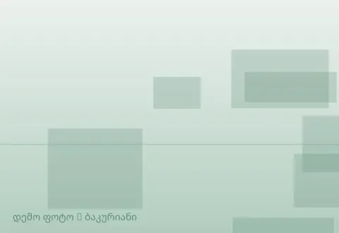 სურათი 1