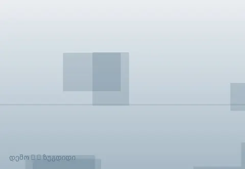 სურათი 2