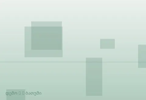 სურათი 2