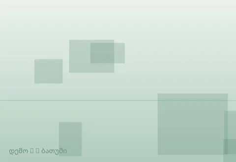 სურათი 2