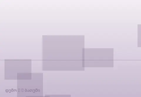 სურათი 2