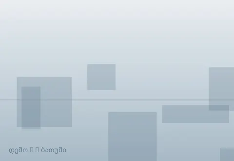 სურათი 3