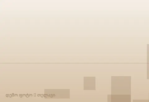 სურათი 1