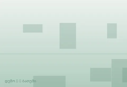 სურათი 2