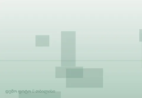 სურათი 1