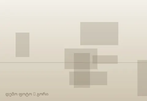 სურათი 1