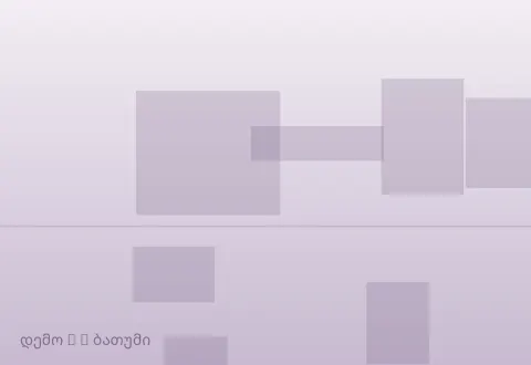 სურათი 2