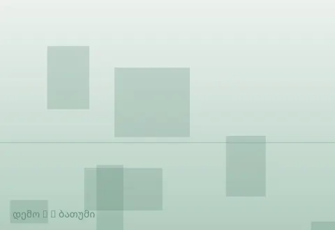 სურათი 3