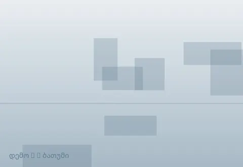 სურათი 4