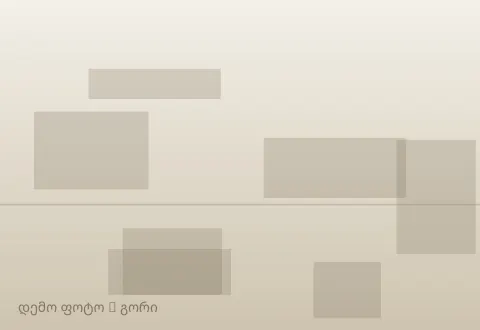 სურათი 1