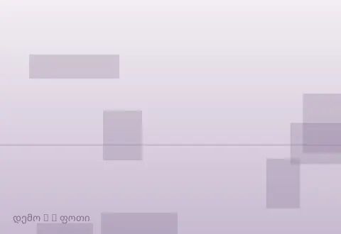 სურათი 2