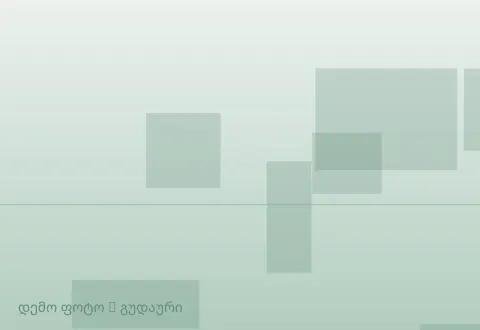სურათი 1